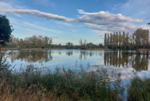 Lacs d'Emprunt et de la Forestière par la lône de Grella - Meyzieu - 12