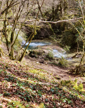 La cascade de Rheby - Villebois - 51