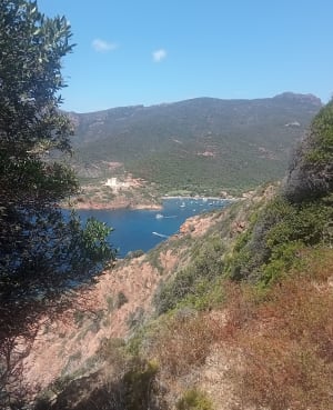 Splendide baie de Girolata et ses sublimes plages - Osani - 40