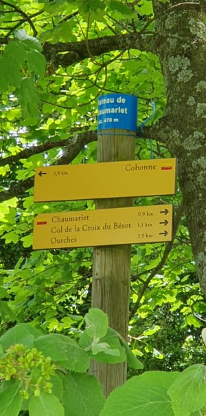 Cobonne à la Croix du Bésot - Cobonne - 3