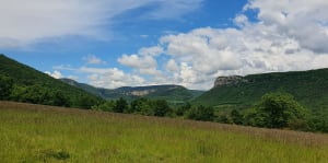 Cobonne à la Croix du Bésot - Cobonne - 4