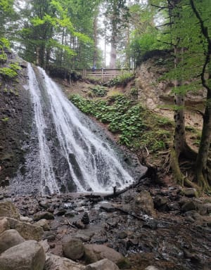 Randonnée aux cascades du Queureuilh, du Rossignolet et du Saut du Loup - Mont-Dore - 129
