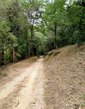 Wandel onder de bomen van de Luberon - Cheval-Blanc - 21