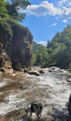 Les cascades de l'Artigue - Maylis - 32
