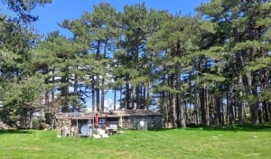Bergerie de Luvviu et Monte Calva - Zonza - 16