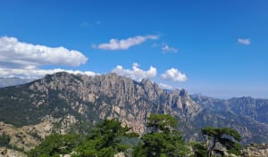 Bergerie de Luvviu et Monte Calva - Zonza - 17