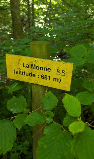 Olloix en stortvloed aan emoties in de kloven van de Monne - Olloix - 36