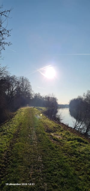 Balade le long de La Sambre - BERNARD - 2