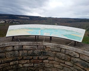Meursault : par monts et parcours en immersion dans les vignes - Meursault - 5