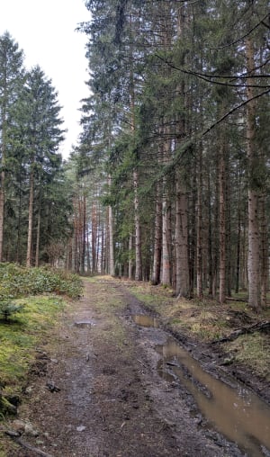 Balade vers Brangeresse - Grezes - 6