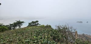 Balade cool de la pointe du château en passant par la ville. - Perros-Guirec - 28