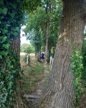 Boucle commune de la Remaudière - La Remaudière - 8