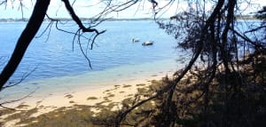 Île aux moines et celtitudes méridionales - Île-aux-Moines - 32