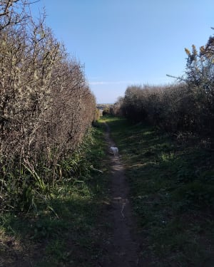 Randonnée bord de mer à Saint Philibert - Trégunc - 8