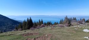 Entre forêts et alpages sous le Pic des Mémises - Thollon-les-Mémises - 16