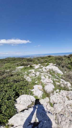 Pic du Pied du Poul - Fraissé-des-Corbières - 7