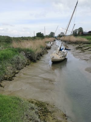 Sentier des Voiles de la Liberté - Berville-sur-Mer - 18