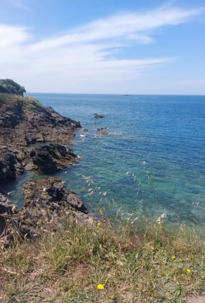 De Saint-Enogat à Port-Blanc - Dinard - 3