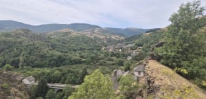 Le sentier des sculptures d'Altier. - Altier - 6