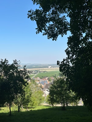 P63 + Mont Sinaï - Verzy - 6