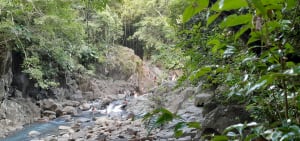 Balade au Saut d'Acomat - Pointe-Noire - 6