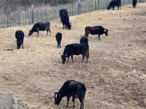 Réserve naturelle des marais du Vigueirat : moment sauvage ! - Marie - 4