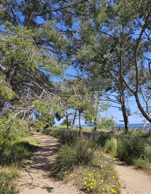 Du vieux salin de Hyères à la Londe - Alexandra - 7