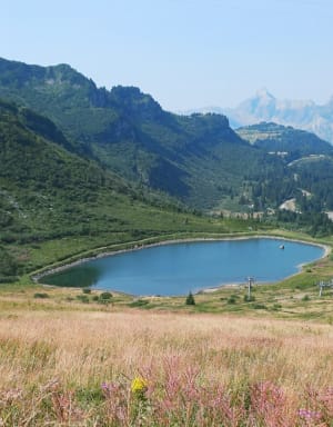 Balade des marmottes - Arâches-la-Frasse - 9