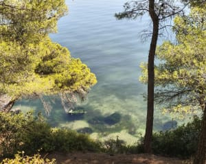 De Figuerolles à la Fontaine du loup Massane et Plage de Figuerolles - Martigues - 12