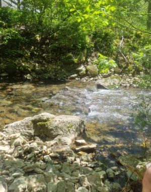 Méaudre en Vercors et Bas Méaudret - Autrans-Méaudre en Vercors - 4