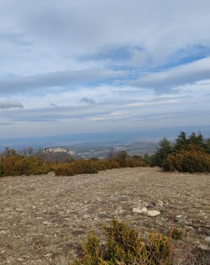 Vaugine (84), sentiers vue panoramique sur le Mont Ventoux - Vaugines - 4