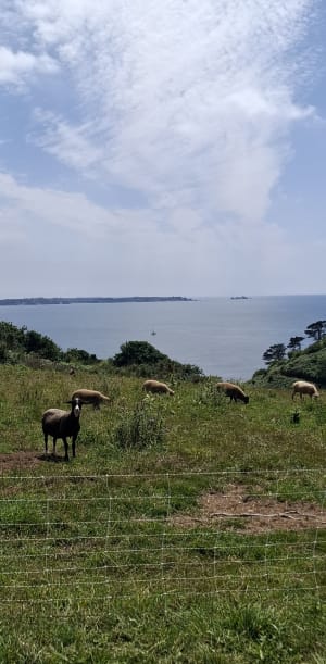 De Brest Goulet - Brest - 6