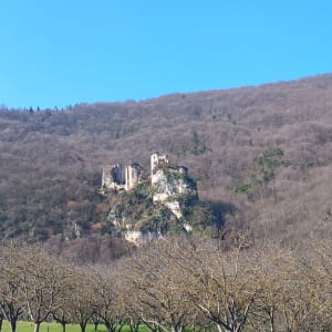 Randonnée dans la forêt de Rochechinard - Rochechinard - 3
