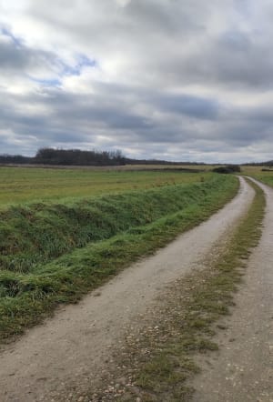 Trail 5 km Montbartier - Bessens - 4
