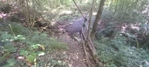 Chamery-Ecueil - Chamery - 5
