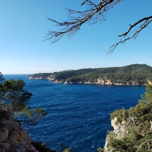 Kustpad van Bandol naar Port d'Alon - Bandol - 65