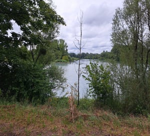 Escapade sur la ViaRhôna et le long de son fleuve sauvage - Peyrieu - 3