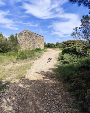 Tour de la Citadelle Mornas - Mornas - 9