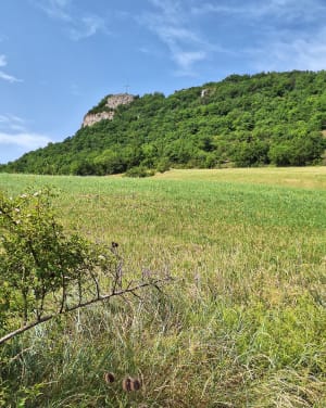 Belle balade sur les hauteurs de la grotte de Sargel. - Saint-Rome-de-Cernon - 2