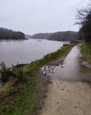 Au fil du Léguer depuis Lannion - Lannion - 10