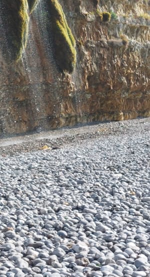 Fécamp, route par Grainval, retour plage - Fécamp - 18