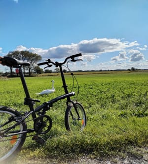 Le Crotoy, entre Baie de Somme et Foraines de Saint-Firmin - Le Crotoy - 4