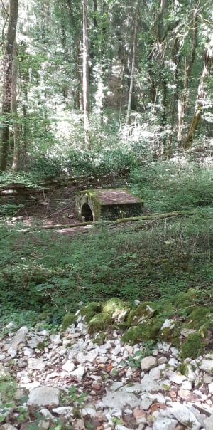 Jolie balade forestière dans la Dijonnais - Fixin - 10