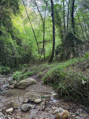 Boucle depuis Castagniers - Castagniers - 11