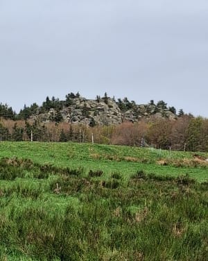 Découverte du Lac de Saint-Front et massif du Mézenc en fond - Saint-Front - 14