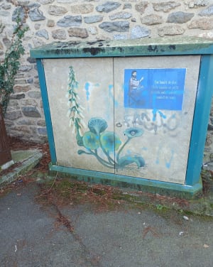 Randonnée pied du château/ clairière de Calédonie - Fougères - 11