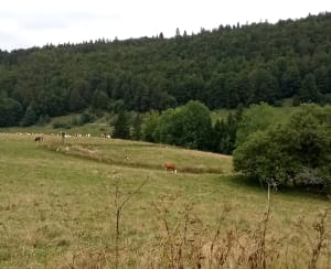 Jusqu’au lac des Rousses - Les Rousses - 18