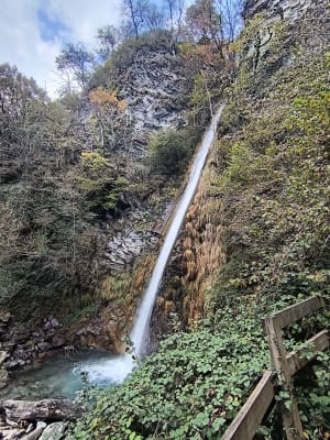 Séris-waterval en boswandeling vanuit Laruns - Laruns - 27