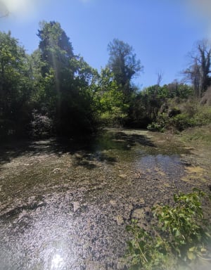 Parc de la Pourdrerie et étang de Berre depuis Saint-Chamas - Saint-Chamas - 2