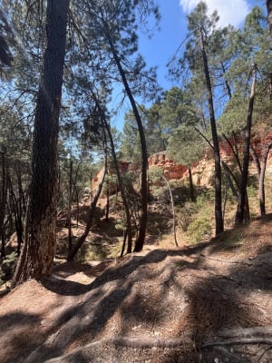 Les Ocres de Mormoiron parcours long - Mormoiron - 7